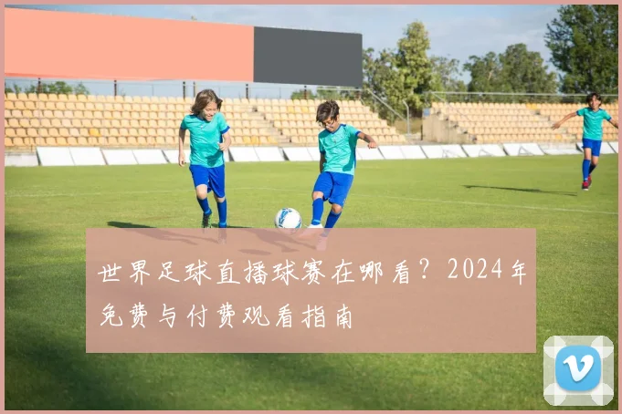 世界足球直播球赛在哪看？2024年免费与付费观看指南