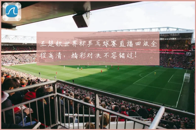 王楚钦世界杯乒乓球赛直播回放全程高清，精彩对决不容错过！